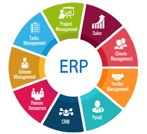 ERP Solutions – RapidIT Inc